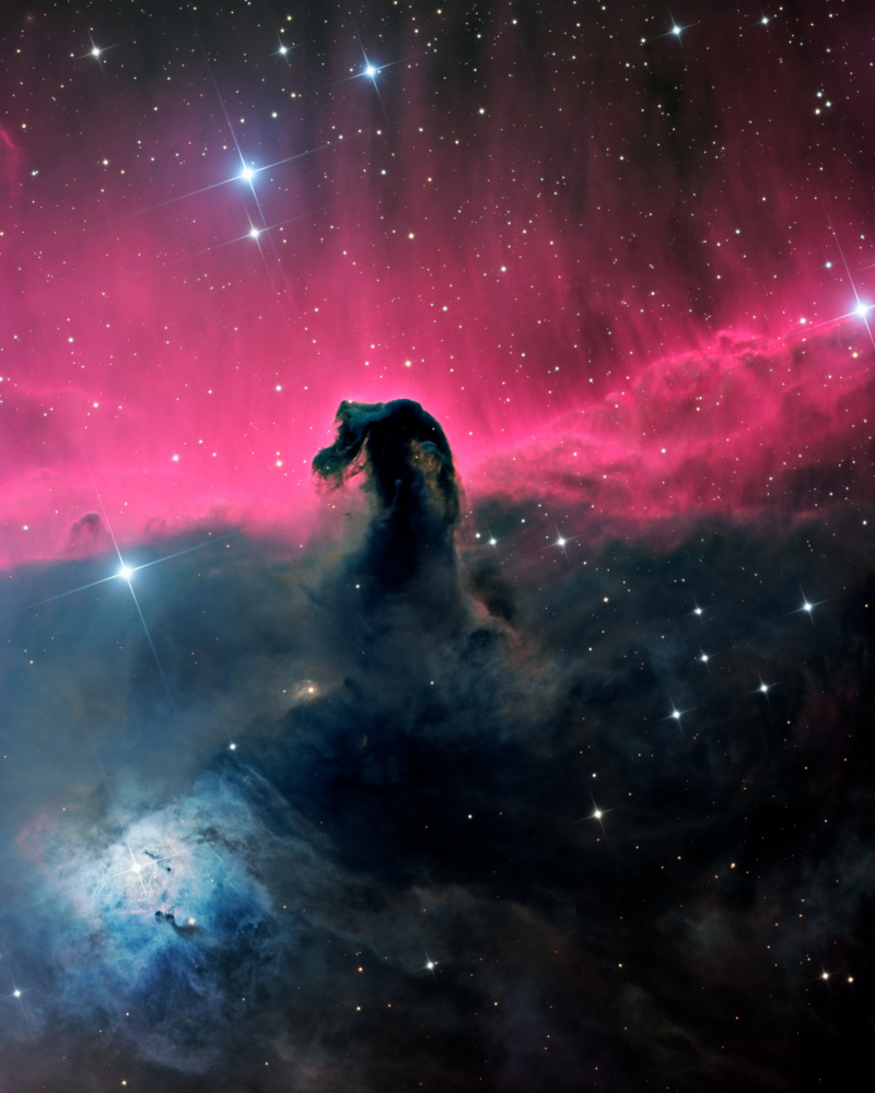 The Horsehead Nebula à Vikas Chander