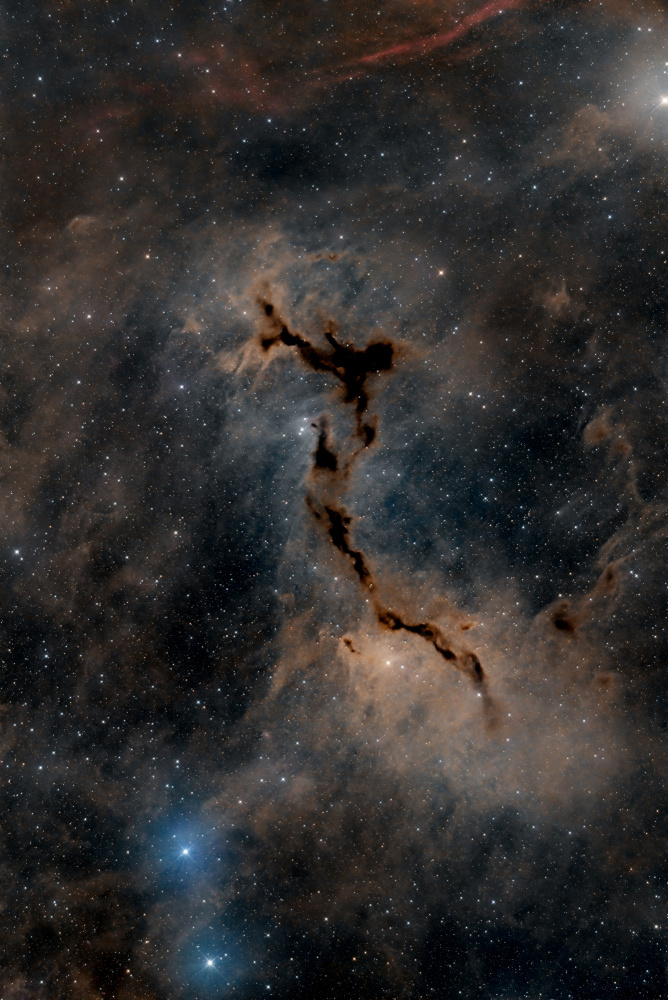 The Seahorse Nebula à Vikas Chander
