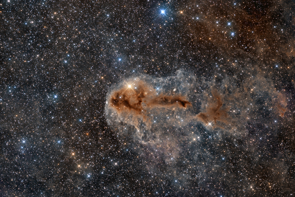 Rotten Fish Nebula à Vikas Chander