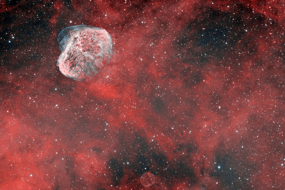 Crescent Nebula à Vikas Chander
