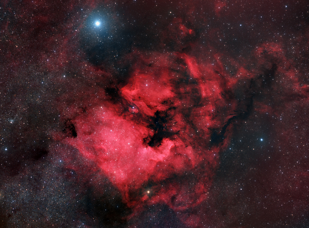 North American Nebula à Vikas Chander