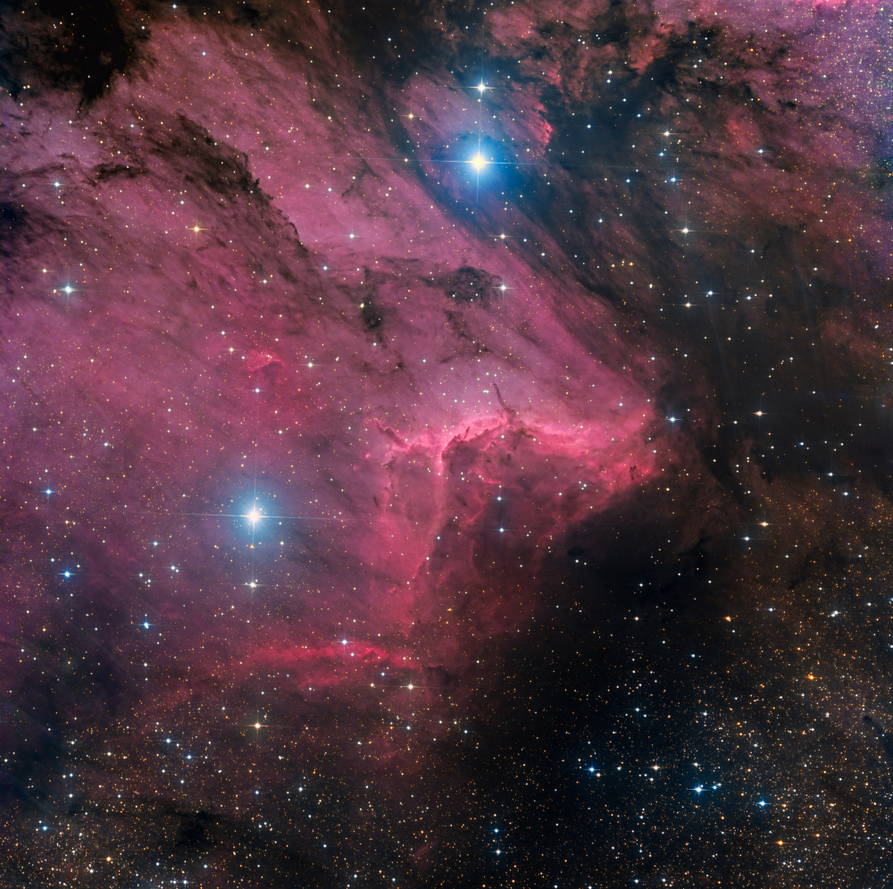 Pelican nebula à Vikas Chander