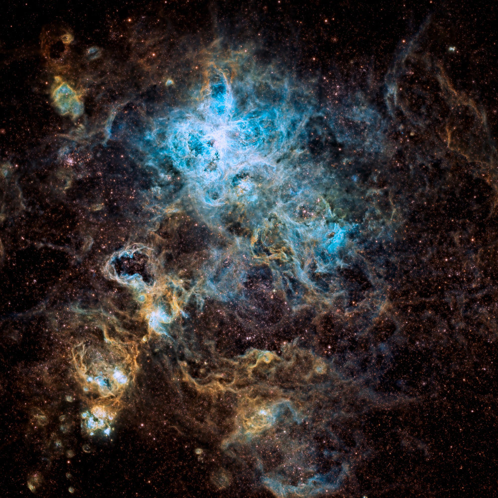 Tarantula Nebula à Vikas Chander