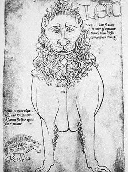 Ms Fr 19093 fol.24v Lion and Porcupine (pen & ink on paper) (facsimile) à Villard  de Honnecourt