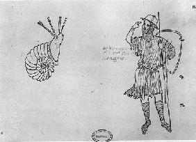 Fol.2 Snail and Hungarian soldier (facsimile copy) (pen & ink on paper)