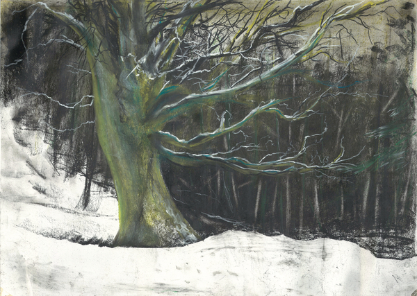 Tree in winter snow at Osmotherley woods à Vincent Alexander Booth