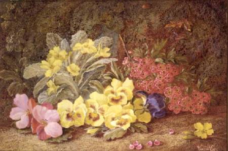 Roses and Primroses à Vincent Clare
