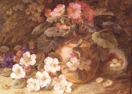 Still Life with Apple Blossom, Primula and Bird's Nest à Vincent Clare