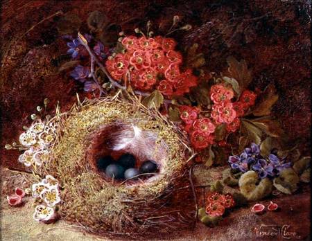 Still life of a bird's nest and blossom à Vincent Clare