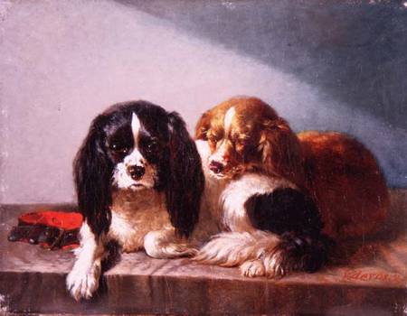 A Pair of Cavalier King Charles Spaniels on a Ledge à Vincent de Vos