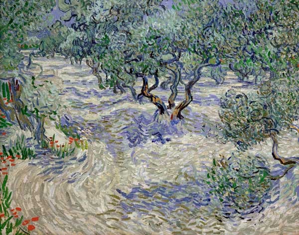 Olivenhain à Vincent van Gogh