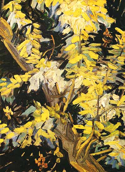 acacias fleurissants à Vincent van Gogh