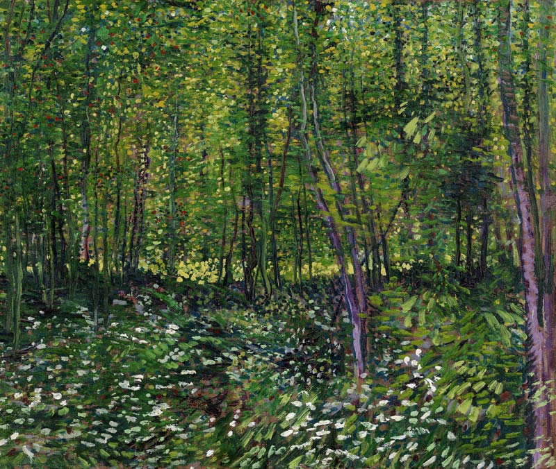 Trees and underwood à Vincent van Gogh