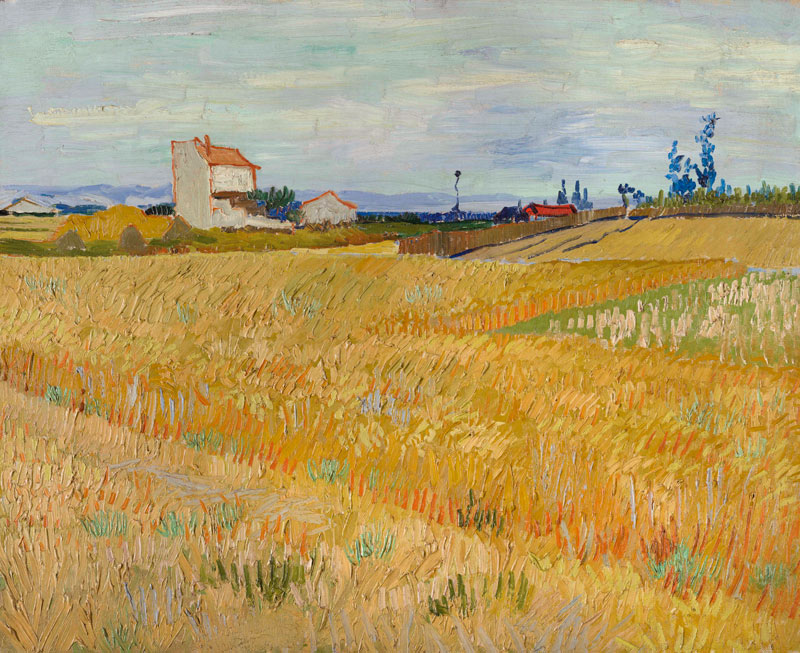 Van Gogh / Cornfield / c.1888 à Vincent van Gogh