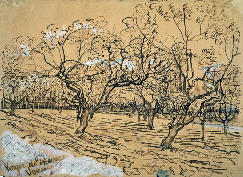 V.van Gogh, Orchard / Drawing / 1888 à Vincent van Gogh