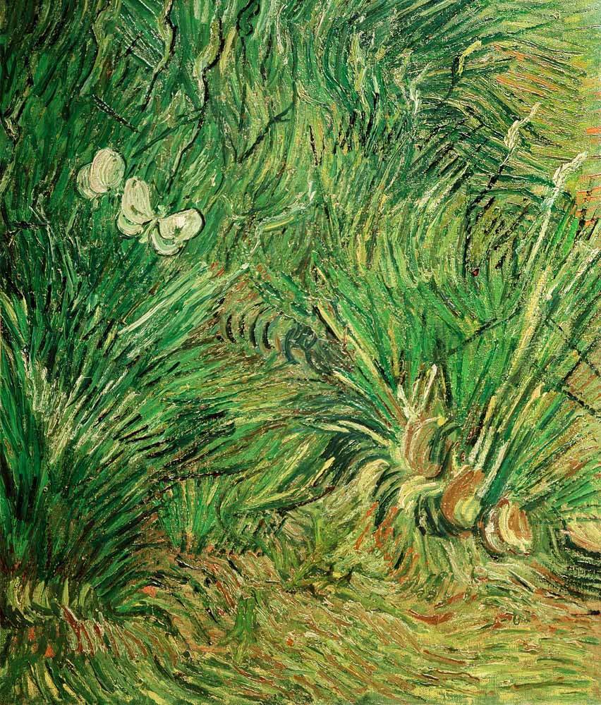 Two white butterflies à Vincent van Gogh