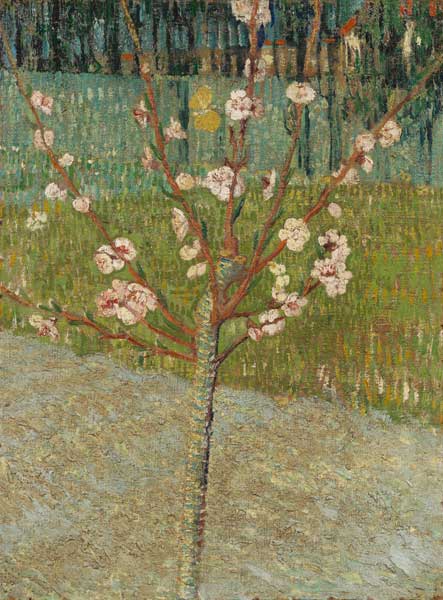 Almond tree in blossom à Vincent van Gogh