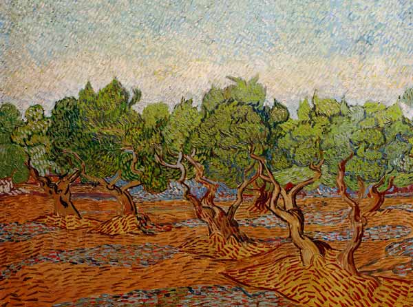 Van Gogh, Olive Grove / Paint./ 1889 à Vincent van Gogh