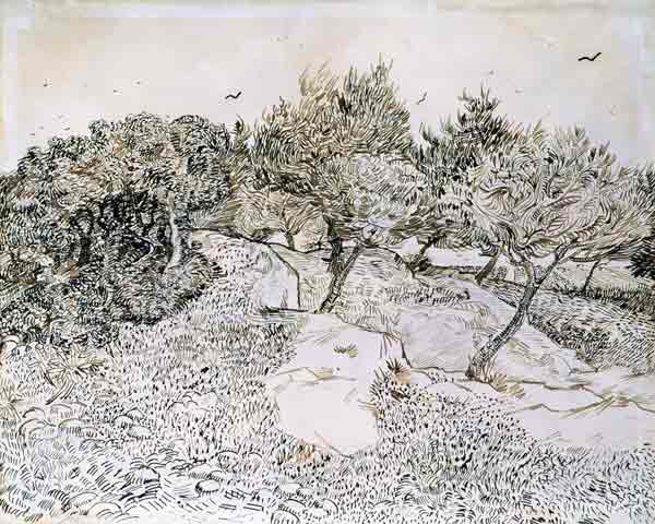 The Olive Trees (pen & ink on paper) à Vincent van Gogh