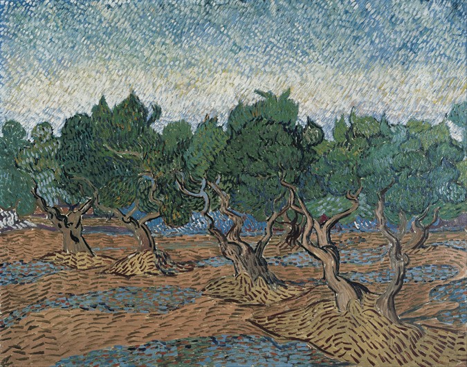 Olive grove à Vincent van Gogh
