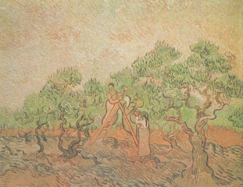 Olivenpfluecker à Vincent van Gogh