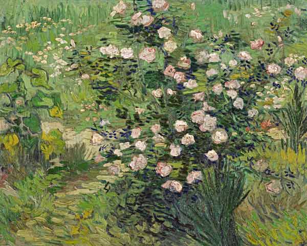 Roses à Vincent van Gogh