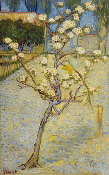 Small pear tree in blossom à Vincent van Gogh
