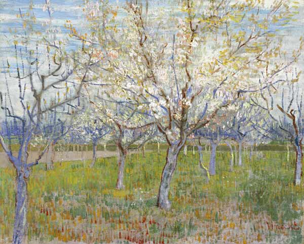 The pink orchard à Vincent van Gogh