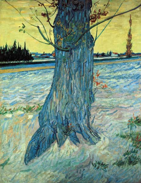 L'arbre à Vincent van Gogh