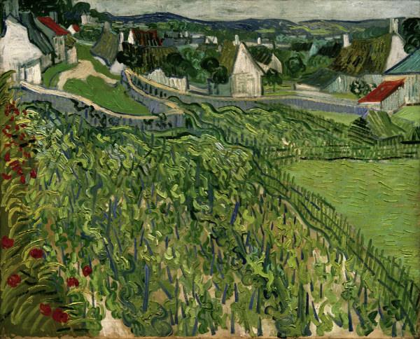 van Gogh / Vineyards at Auvers / 1890 à Vincent van Gogh