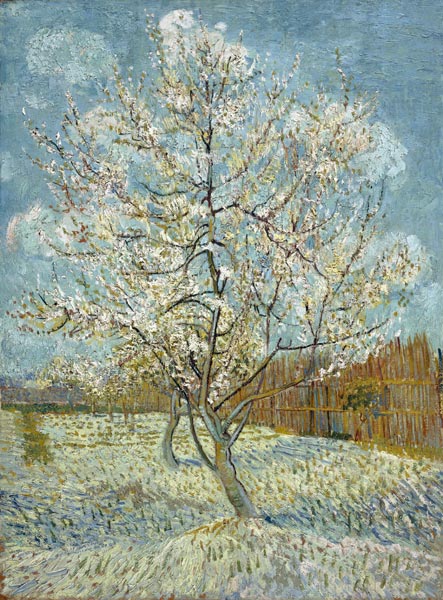 Pêcher en fleur à Vincent van Gogh