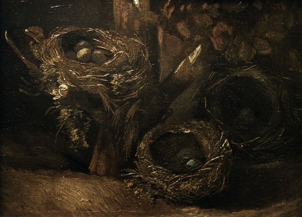 v.Gogh / Bird s nests / 1885 à Vincent van Gogh