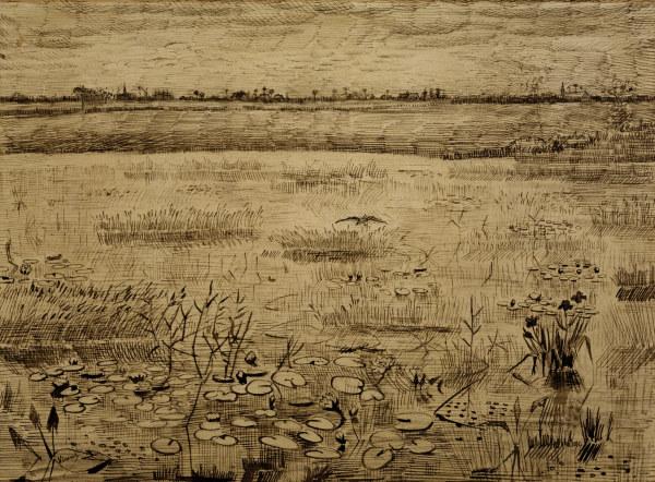 V.van Gogh, Marsh w.Water Lillies/ 1881 à Vincent van Gogh