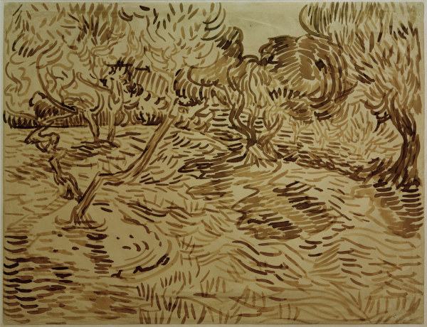 V.van Gogh, Olive Grove / 1889 à Vincent van Gogh