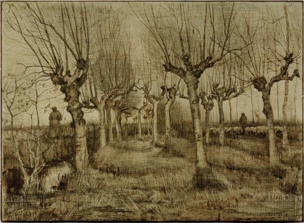 V.van Gogh, Pollard Birches / Draw./1884 à Vincent van Gogh