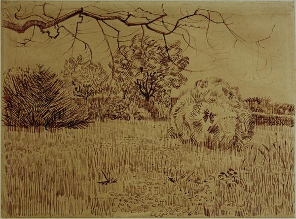 V.v.Gogh, Field w.Shrub / Drawing / 1888 à Vincent van Gogh