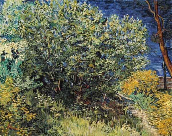 V.v.Gogh / Lilacs / Painting / 1889 à Vincent van Gogh
