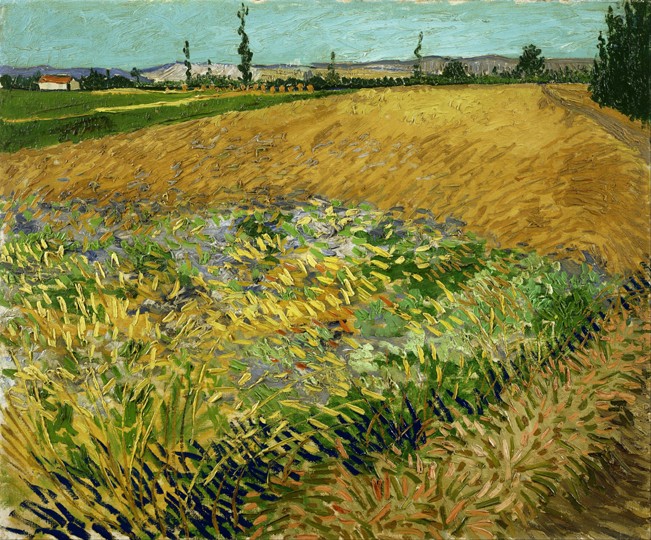 Wheatfield à Vincent van Gogh
