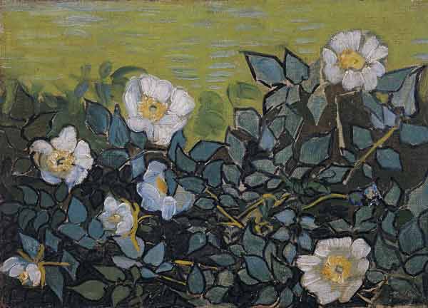 Roses sauvages à Vincent van Gogh
