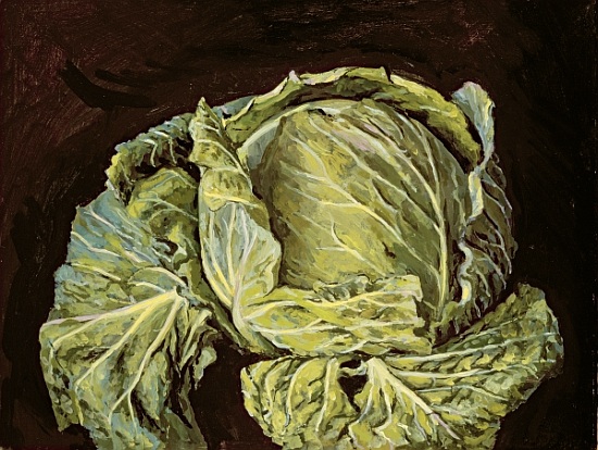 Cabbage Still Life à  Vincent  Yorke