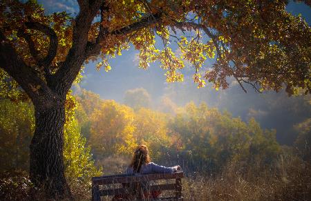Woman sitting on a bench under a tree and facing a yellow autumn