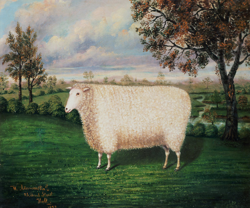 A Prize Sheep of the Old Lincoln Breed à W. Adamson