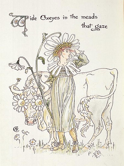 ''Wild Oxeyes in Meads that Gaze'', illustration to ''Flora''s Feast, A Masque of Flowers'' à Walter Crane