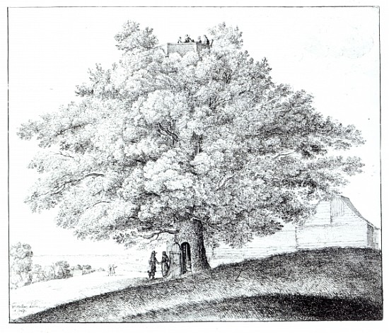 Hollow Tree at Hampstead à Wenceslaus Hollar