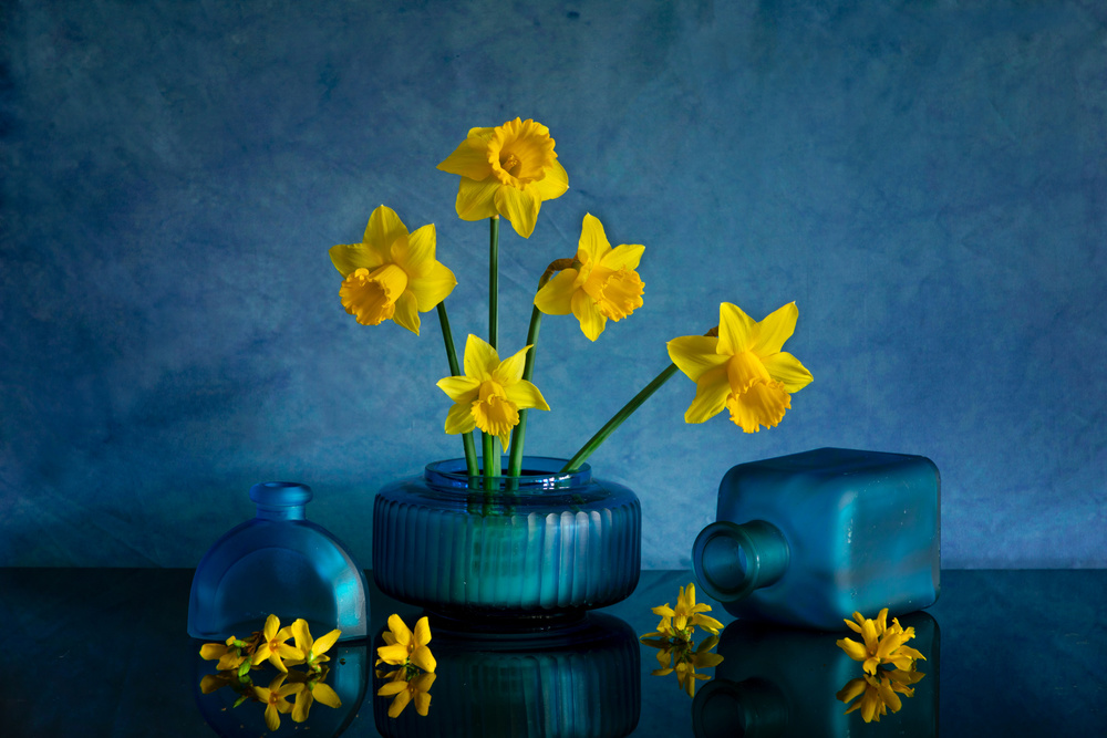 Yellow Daffodil à Wendy Xu