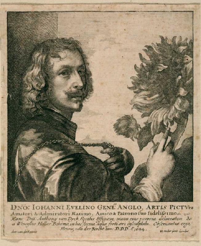 Selbstbildnis Anthonis van Dyck mit Sonnenblume (nach dem Gemälde von 1632, London, National Gallery à Wenzel Hollar