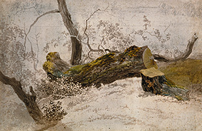 tronc de chêne coupé à Wilhelm Alexander Wolfgang von Kobell