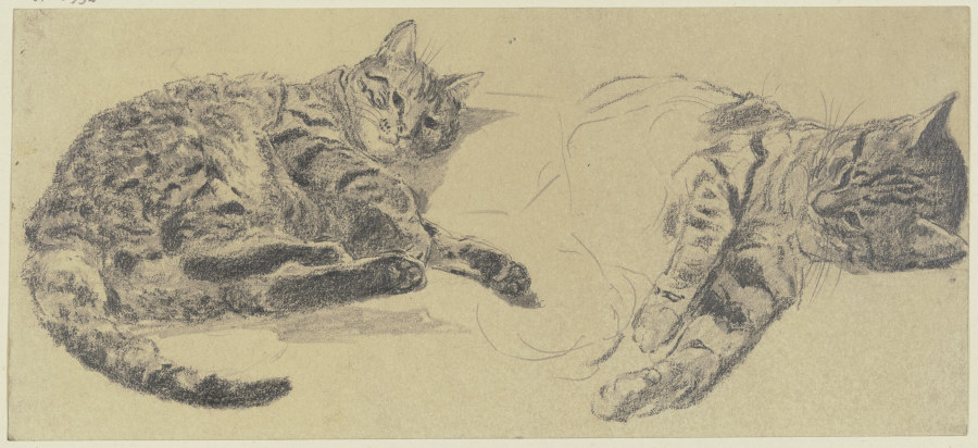 Studies of cats à Wilhelm Gentz