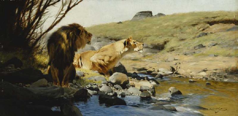 Ein Löwe und eine Löwin an einem Bach. à Wilhelm Kuhnert
