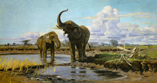 Éléphants à la point d'eau à Wilhelm Kuhnert